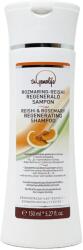 BIOLA sampon regeneráló rozmaring-reishi (150ml)