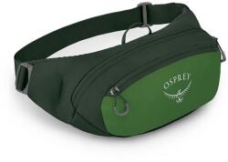 Osprey Borsetă șold Osprey Daylite, 2 l, green belt/green canopy