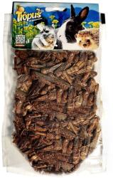  TRÓPUS Szárított Szöcske - Természetes Eleség Hüllőknek, Madaraknak, Rágcsálóknak (40 g)