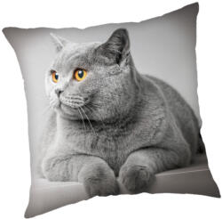 Jerry Fabrics Cicás Grey párnahuzat 45x45 cm (JFK024058)