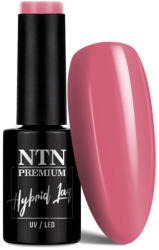 NTN Premium UV/LED Géllakk 23#