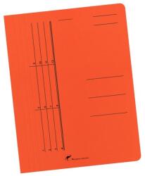  Dosar carton color plic (A4157)
