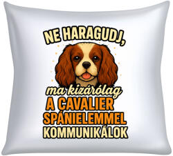  Ne haragudj, ma kizárólag a cavalier spánielemmel kommunikálok párna (ma_kizarolag_a_spanielemmel_kommunikalok_parna)