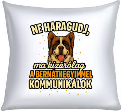  Ne haragudj, ma kizárólag a bernáthegyimmel kommunikálok párna (ma_kizarolag_a_bernathegyimmel_kommunikalok_parna)