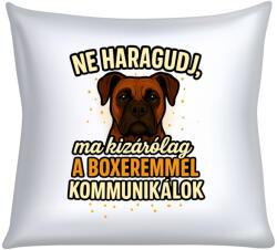  Ne haragudj, ma kizárólag a boxeremmel kommunikálok párna (ma_kizarolag_a_boxeremmel_kommunikalok_parna)