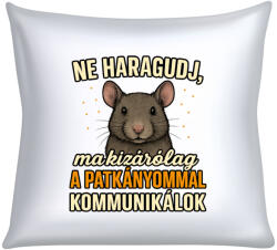  Ne haragudj, ma kizárólag a patkányommal kommunikálok párna (ma_kizarolag_a_patkanyommal_kommunikalok_parna)