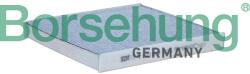 BORSEHUNG Filtru, aer habitaclu BORSEHUNG B10513 (B10513)