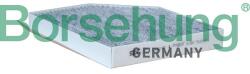 BORSEHUNG Filtru, aer habitaclu BORSEHUNG B12801 (B12801)