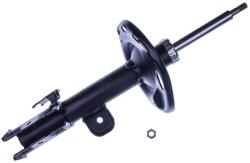 Denckermann amortizor DENCKERMANN DSB587G (DSB587G)