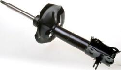 Denckermann amortizor DENCKERMANN DSB059G (DSB059G)