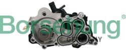 BORSEHUNG Pompă de apă, răcire motor BORSEHUNG B12692 (B12692)