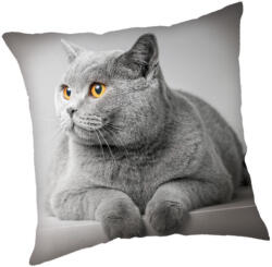Cicás Grey párnahuzat 45x45 cm - lord