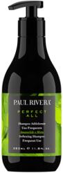 Paul Rivera Perfect All Шампоан за ежедневна употреба, 350 ml