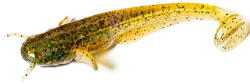 FishUp Shad Catfish 7.5cm #036 Caramel Green Green & Black (4820194850184)
