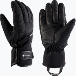 Viking Mănuși de schi pentru bărbați Viking Branson GTX black