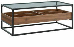 Signal Harmony Üveg Dohányzóasztal Fekete Fém Vázzal és Dió Tárolóval