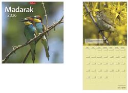 TopTimer Naptár, fali, TOPTIMER "Madarak (24T9800-018)