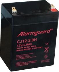 Alarmguard 12V 2, 9Ah CJ12-2.9 zárt ólomsavas zselés akkumulátor (Alarmguard-CJ12-2-9)