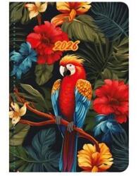 TopTimer Határidőnapló 2026 B/6 heti TOPTIMER Joy flexi F012 papagáj (26T012F-001)