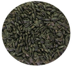  Madáreleség Vogel fekete napraforgó 25 kg