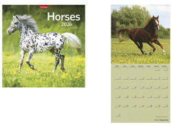 TopTimer Falinaptár TOPTIMER T098 290x580mm álló Horses 2026 (T9800-10A) - papir-bolt