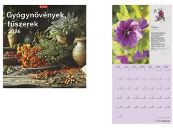 TopTimer Falinaptár TOPTIMER T098 290x580mm álló Gyógynövények-fűszerek 2026 (T9800-16A) - papir-bolt