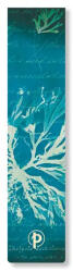 Paperblanks könyvjelző PA1388-5 Sea Flowers, Anna Atkins’ Cyanotypes