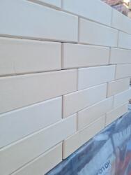  Caramida Alba PERLINA M200 pentru Fatade, Garduri, Gratare (250x120x65 mm) (PERL-M200)