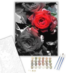  Szürke-piros rózsa - számfestő készlet - 40×50 cm (Keretre feszítve)