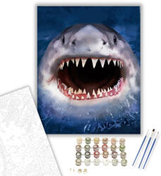  Cápa fogai - számfestő készlet - 40×50 cm (Keretre feszítve)