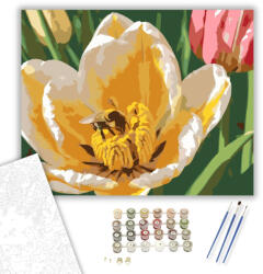 Számfestő Méh a Tulipánban - számfestő készlet - 40×50 cm (Keretre feszítve) (crea6030-40X50-KF)