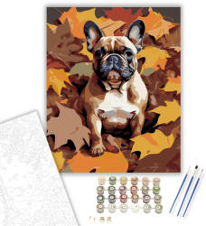  Francia Bulldog Őszi Levelek Között - számfestő készlet - 60×70 cm (Keret nélkül)