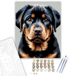  Rottweiler Kölyök Közeli Portré - számfestő készlet - 40×50 cm (Keretre feszítve)