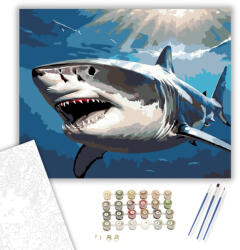 Számfestő Nagy Fehér Cápa a Mélységben - számfestő készlet - 40×50 cm (Keretre feszítve) (crea5547-40X50-KF)