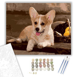  Welsh Corgi kutya - számfestő készlet - 40×50 cm (Keretre feszítve)