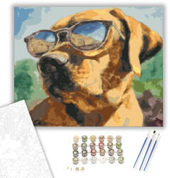 Számfestő Menő kutya - számfestő készlet - 40×50 cm (Keretre feszítve) (crea340-40X50-KF)