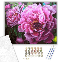 Számfestő Bazsarózsák - számfestő készlet - 40×50 cm (Keretre feszítve) (crea1034-40X50-KF)