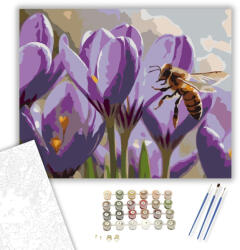 Számfestő Méhecske a Tavaszi Krókuszon - számfestő készlet - 40×50 cm (Keretre feszítve) (crea5989-40X50-KF)