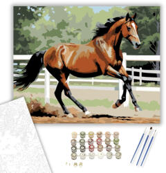  Vágtató Pej Ló a Ranch Udvarán - számfestő készlet - 40×50 cm (Keretre feszítve)