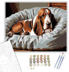  Alvó Basset Hound Kényelmes Ágyon - számfestő készlet - 60×70 cm (Keret nélkül)