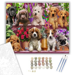 Számfestő Kutyák csoportja - számfestő készlet - 40×50 cm (Keretre feszítve) (crea114-40X50-KF)