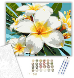  Trópusi Plumeria Virágok - számfestő készlet - 40×50 cm (Keretre feszítve)