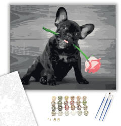 Számfestő Bulldog Rózsaszállal - számfestő készlet - 40×50 cm (Keretre feszítve) (ujszam178-40X50-KF)