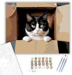 Számfestő Kíváncsi Tuxedo Macska Dobozban - számfestő készlet - 40×50 cm (Keretre feszítve) (crea5888-40X50-KF)