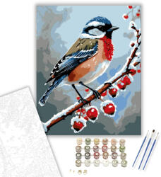 Számfestő Téli Madárdal Harmóniája - számfestő készlet - 40×50 cm (Keretre feszítve) (crea5159-40X50-KF)