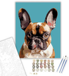 Számfestő Francia Bulldog Közeli Portré - számfestő készlet - 40×50 cm (Keretre feszítve) (crea5867-40X50-KF)