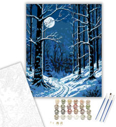  Holdfényes Havas Erdő - számfestő készlet - 40×50 cm (Keretre feszítve)