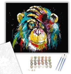  Színes Majom - számfestő készlet - 40×50 cm (Keretre feszítve)