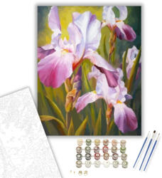 Számfestő Íriszek - számfestő készlet - 40×50 cm (Keretre feszítve) (crea1359-40X50-KF)