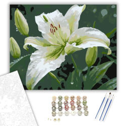  Harmatcseppes Fehér Liliom - számfestő készlet - 40×50 cm (Keretre feszítve)